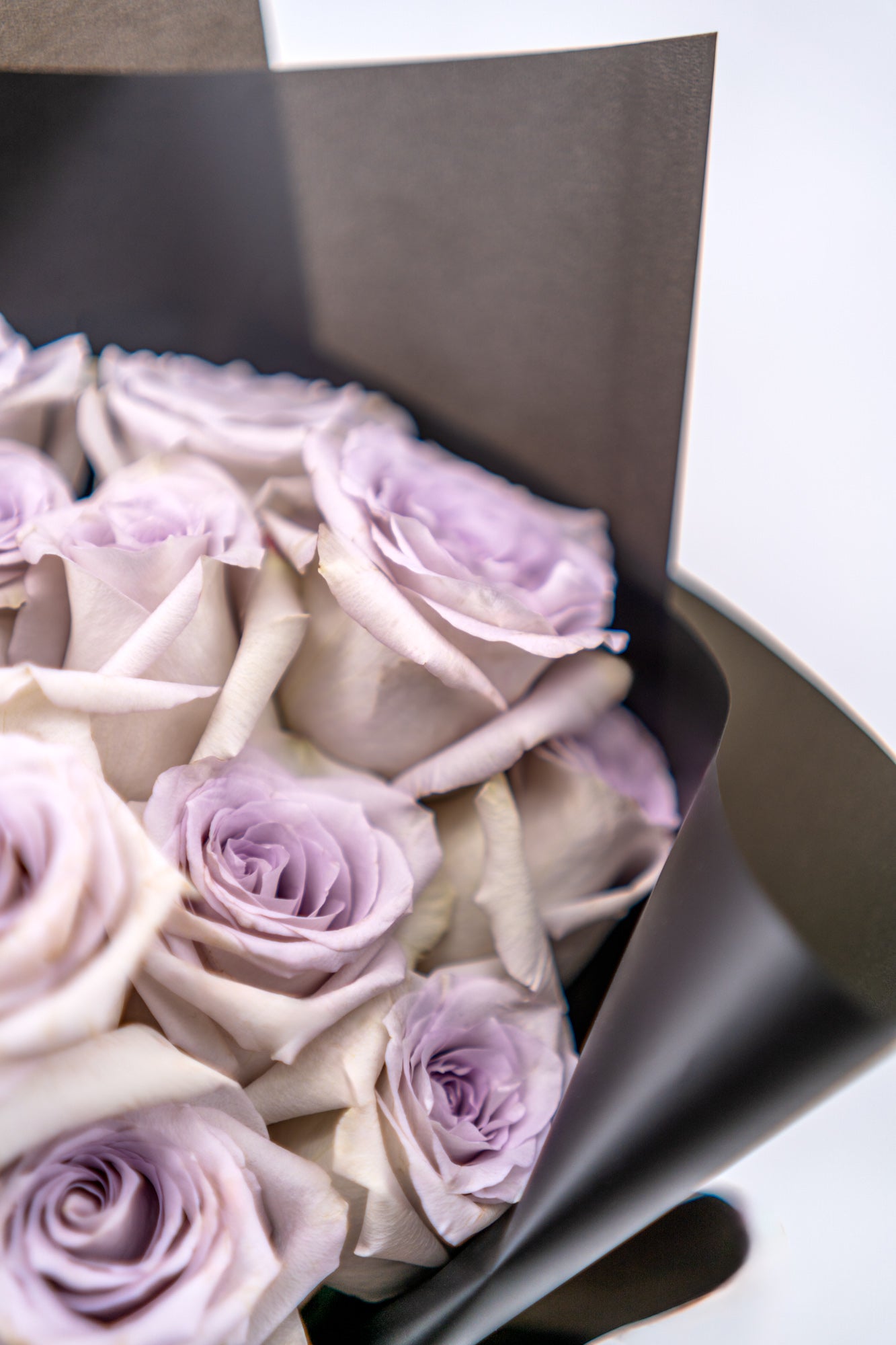 20支玫瑰 (紫色)