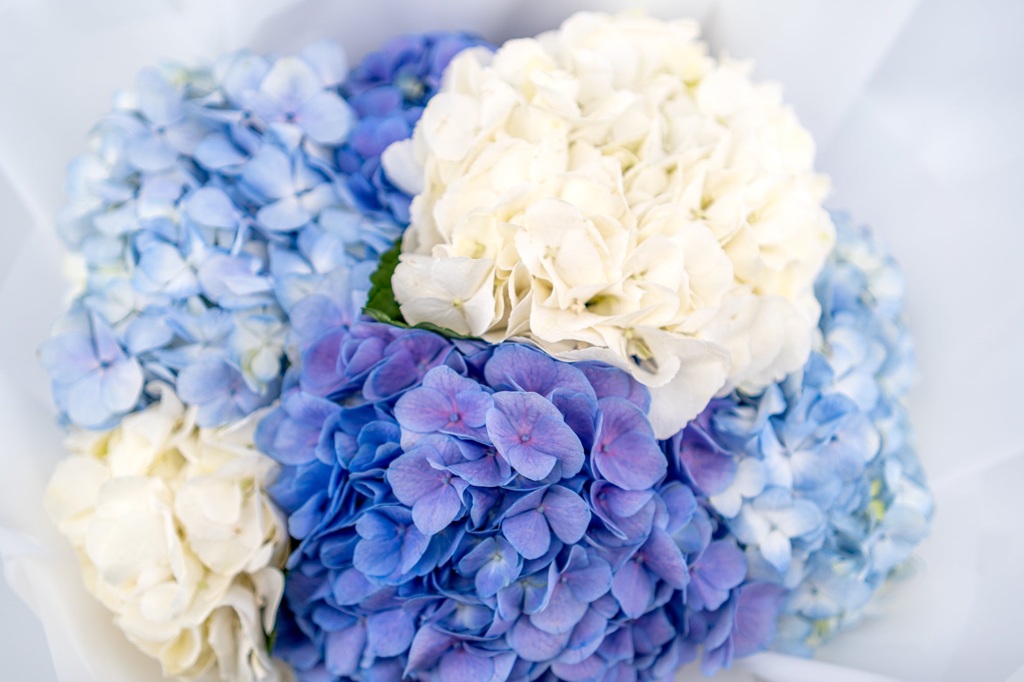 Mix Hydrangea Bouquet