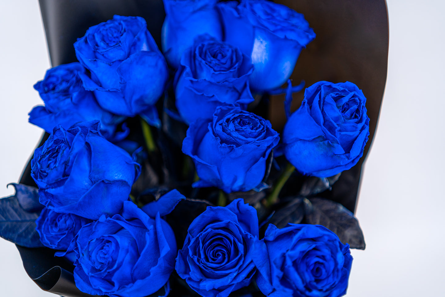 9支玫瑰 (藍色)